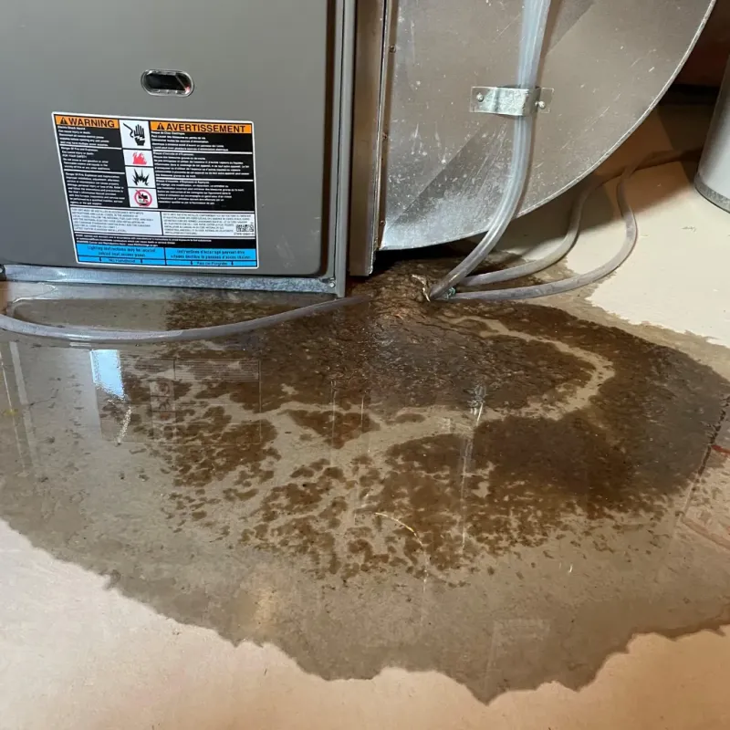 Appliance Leak Cleanup in Yuma, CO