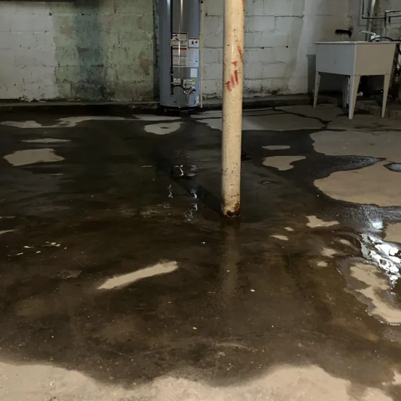 Emergency Water Extraction And Removal in Yuma, CO